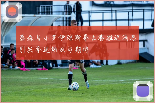 泰森与小罗伊琼斯拳击赛推迟消息引发拳迷热议与期待